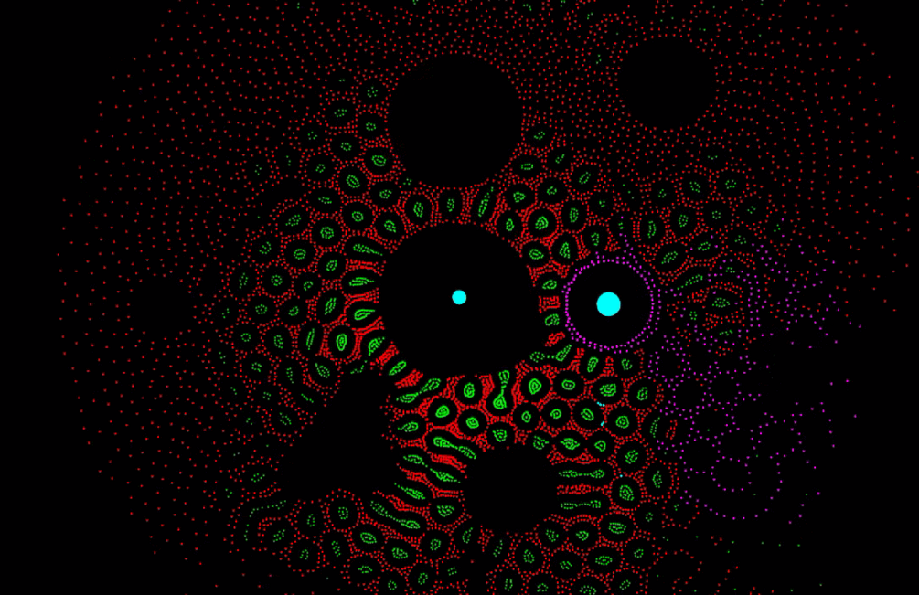 2D/3D/VR Particle life in TouchDesigner (POPs & GLSL)